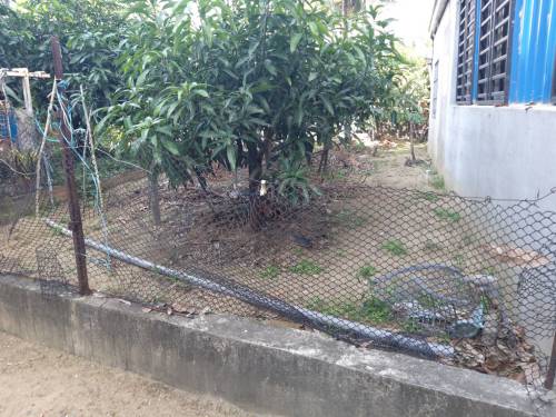 05 (326)
